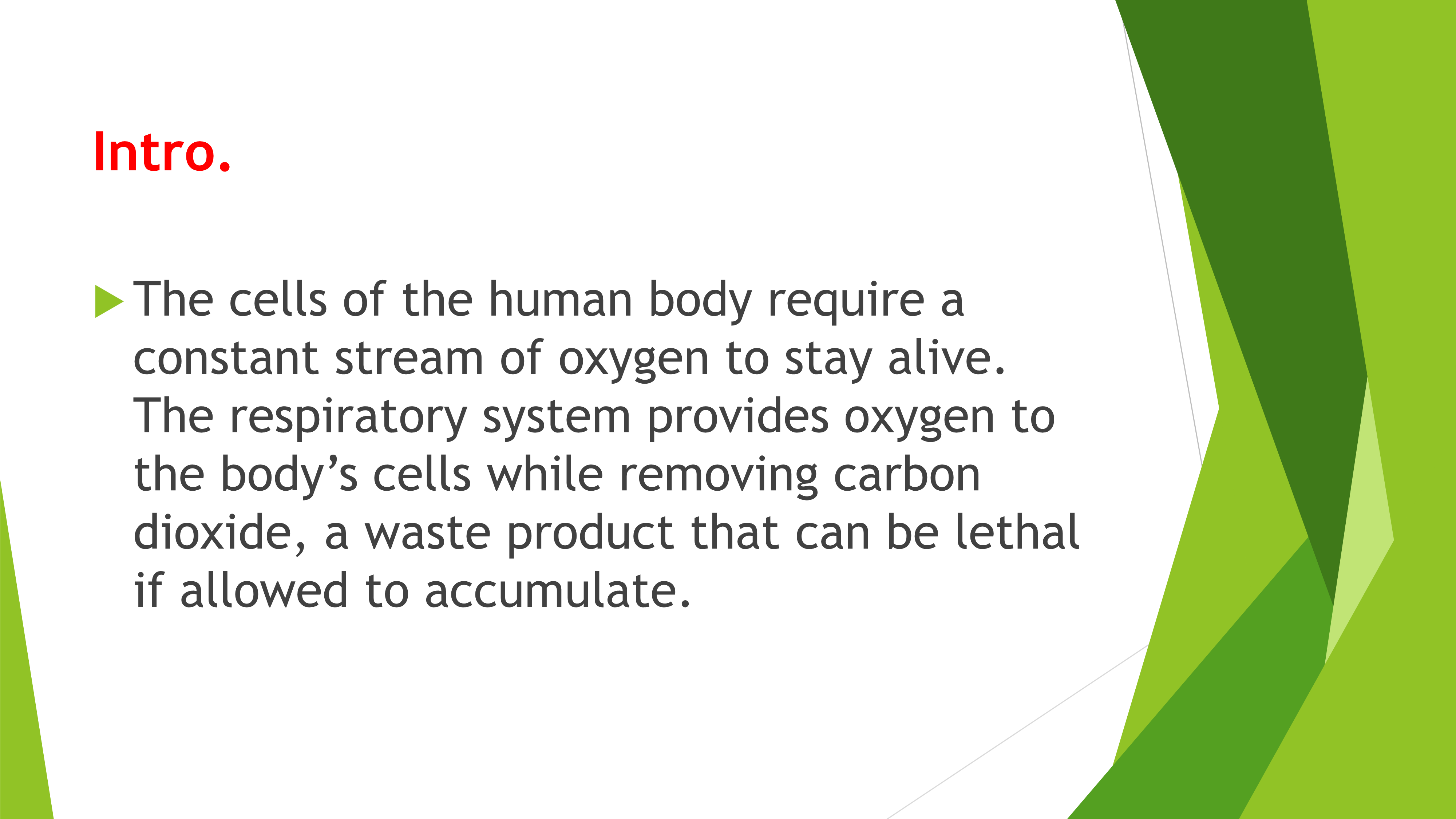 No preview available